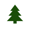 Christmas tree for tights
